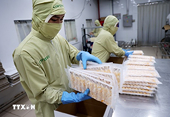 Vietnam’s aquatic exports slow amid unpredictable challenges