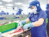 Take advantage of the golden time to boost exports to the Japanese market