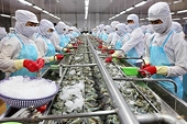 Vietnam's seafood exports reach US$5.2 billion in first six months of this year