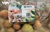 Vietnamese lychees enter Costco’s Australia-wide network in largest-ever shipment