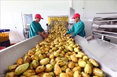 Fruit and vegetable exports expected to fall short of yearly target