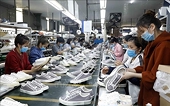 Vietnam’s leather-footwear industry sees double-digit export growth in H1