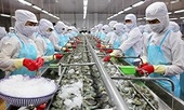 China surpasses US to become Vietnam’s largest seafood importer