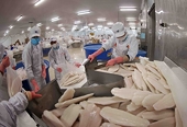 Việt Nam's seafood exports: pivoting strategy after US tariff shock