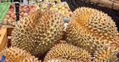 Vietnamese durian receives good news from China, staging remarkable recovery