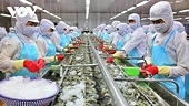 Textile and seafood sectors seek to maintain market share amid 20% US tariff