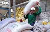 Vietnam surpasses Thailand to become world's second largest rice exporter