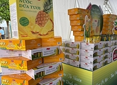 Vietnamese pineapple is facing a breakthrough opportunity, aiming for a billion-dollar target