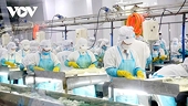 US tariff pushes Vietnamese businesses to reshape exports