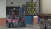 Agriculture, forestry and fishery sector seeks solutions to increase year-end export growth