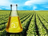 UK plans anti-dumping duties on Chinese biodiesel imports