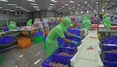 Vietnam targets balanced, sustainable and diversified export growth