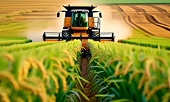 ACE and Escorts Kubota shares in focus as DGTR imposes anti-dumping duty on imported cranes