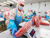Vietnam’s exporters face pivotal test with new US tariffs