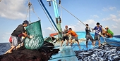 Vietnam calls on US to review ruling on 12 fisheries