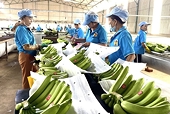 Meet international standards to expand export