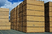 Canadian Lumber Trade Alliance pans latest softwood lumber tariff