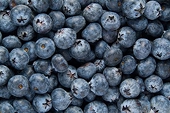 Australian blueberries gain access to Vietnam with reciprocal access for Vietnamese pomelo