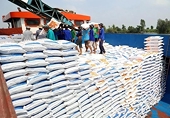 Excess supply, Vietnamese rice under competitive pressure from India