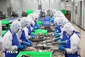 Viet Nam’s seafood sector capitalises on FTAs