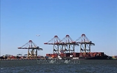 Wood imported into the US is subject to new taxes