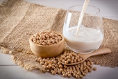 Vietnam’s Soybean Imports From U.s. Surge Amid Aquaculture Sector Growth