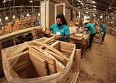 Việt Nam’s wood industry seeks ways to cope with tariff challenges