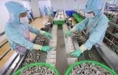 Viet Nam – EU Trade turnover breaks through thanks to green leverage and digital transformation