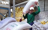Viet Nam retains its position as Singapore’s third-largest rice supplier