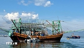 Viet Nam’s fight against IUU fishing coupled with sustainable fisheries development