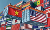 Joint Statement on US-Viet Nam Framework for an Agreement on Reciprocal, Fair and Balanced Trade