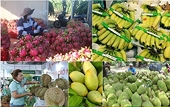 Viet Nam’s fruit, vegetable exports exceed 7 billion USD in 10 months
