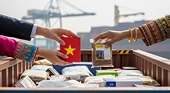 Beyond US Tariffs Viet Nam and Belgium Embrace Indian Exports