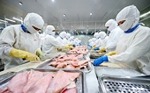 Japan reports rising demand for Vietnamese pangasius