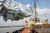 Exports hit new records following strong momentum