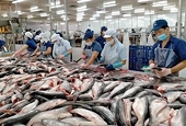 Viet Nam’s agriculture, forestry, and fisheries post good trade surplus