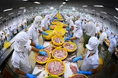 Vietnam’s seafood imports surge 30 per cent in first 10 months
