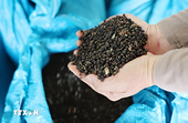 Pepper exports maintains over 25% growth