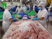 Vietnamese seafood struggles to find its place at home