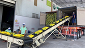 Viet Nam responds to year-end pressure on the rice market