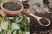 Vietnam’s agro-forestry-aquatic exports to EU up 40% in 9M
