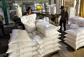 Philippines extends rice import ban, raising risks for Viet Nam's exports