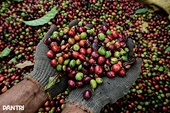 Việt Nam exports to US hit record USD 126.17 billion