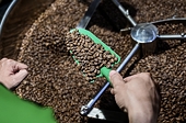 Three Vietnamese agricultural products break records, expected to bring in more than 14 billion USD