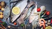 Viet Nam Navigates Stormy Trade Seas, Eyes $11B Seafood Export Milestone Amid Global Demand Surge