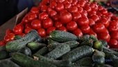 Ukraine Boosts Tomato and Cucumber Imports in 2025 with New Anti-Dumping Duties