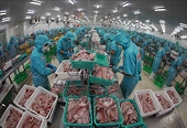 Import-export turnover sets new record, approaching 900 billion USD threshold