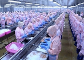 Platform to bring seafood to the 11 billion USD mark