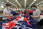 Viet Nam's textile industry faces mounting pressure for deep restructuring