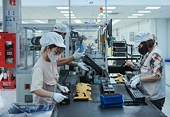 Expanding export opportunities through CPTPP